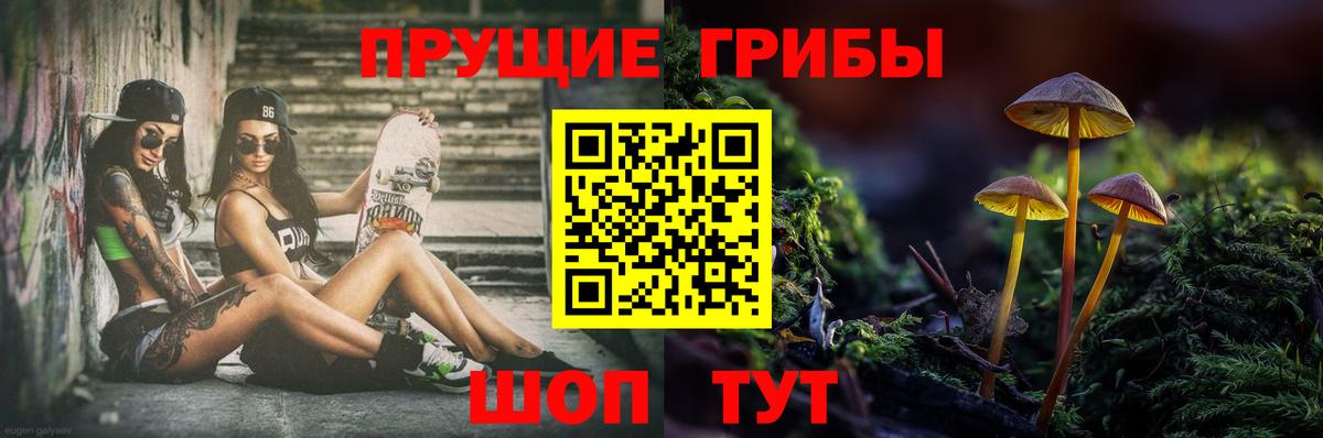 Галлюциногенные грибы Cubensis Урус-Мартан